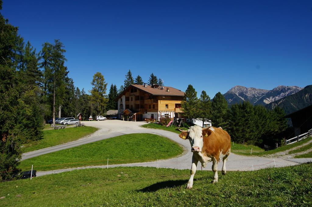 Chalet Frapes Сан-Мартино-ин-Бадия Экстерьер фото